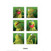 Kunstdruk The Muppets Kermit Boxes 30x40cm