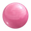 Fitnessbal Ø 55 cm - incl. Pomp - Gym bal - Yoga - Belastbaar tot 500 kg - Roze