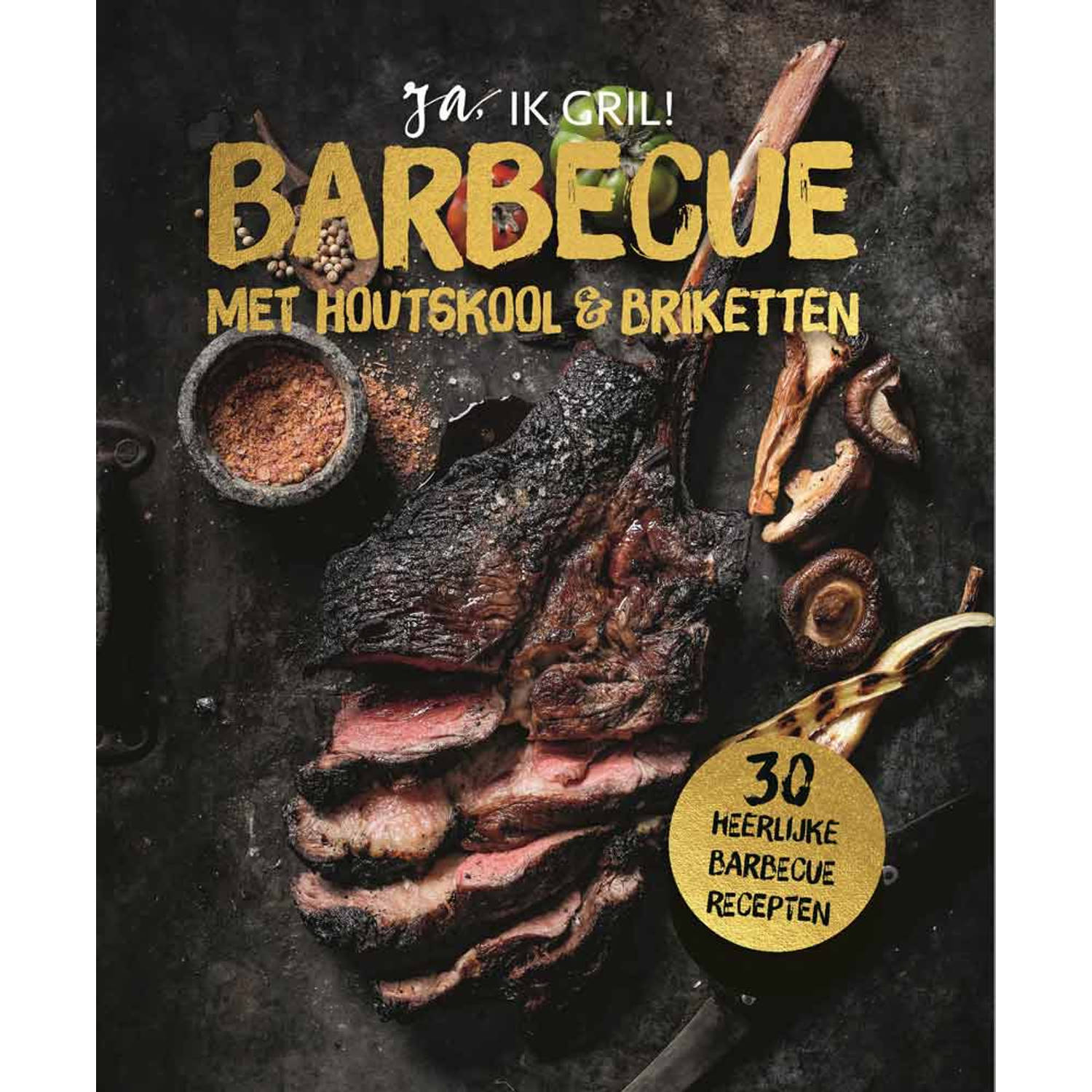 Barbecue met houtskool en briketten. Hardcover