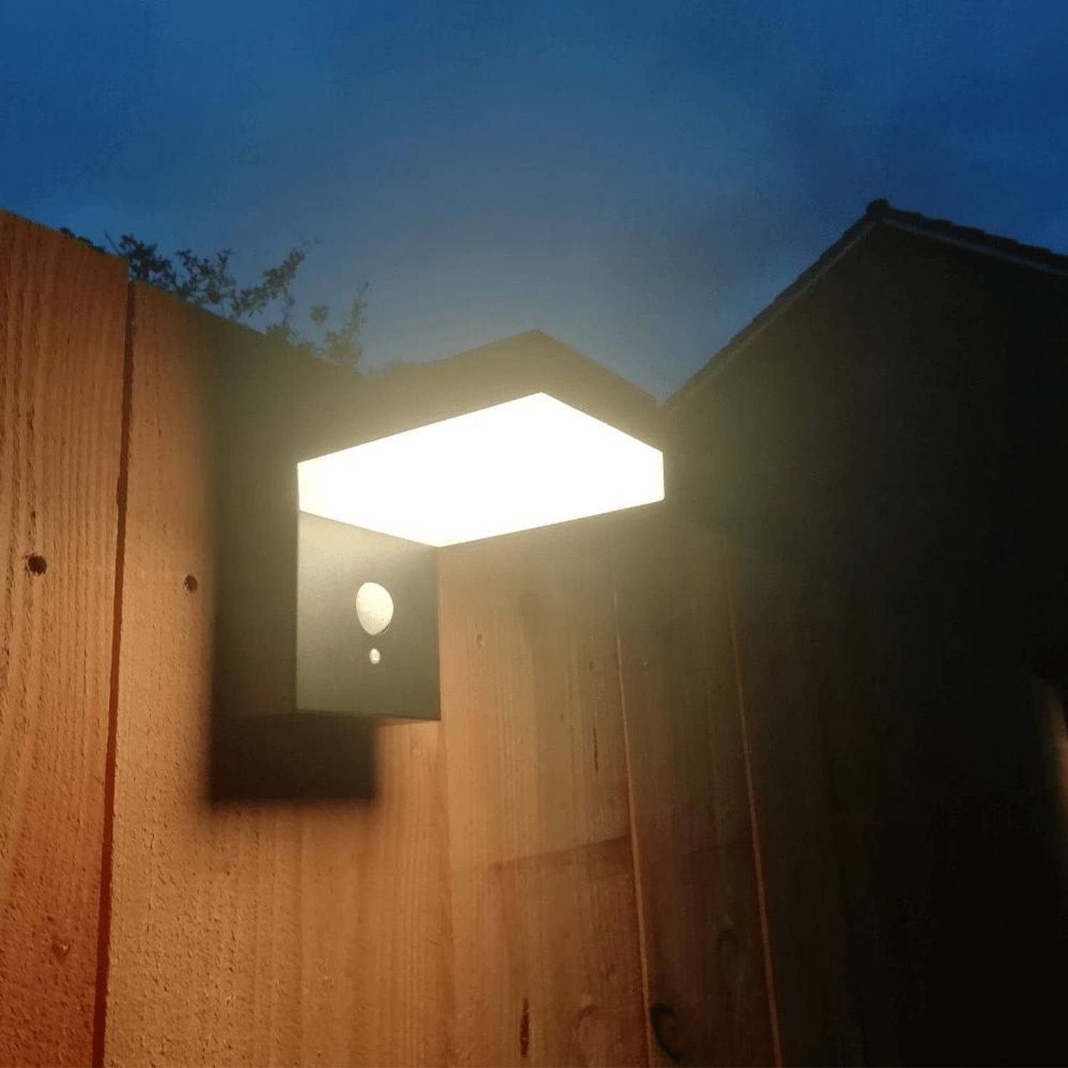 verdieping verloving echo Solar wandlamp buiten 'Oslo' - Warm wit licht - Met bewegingssensor -  Wandlamp op zonne-energie | Blokker