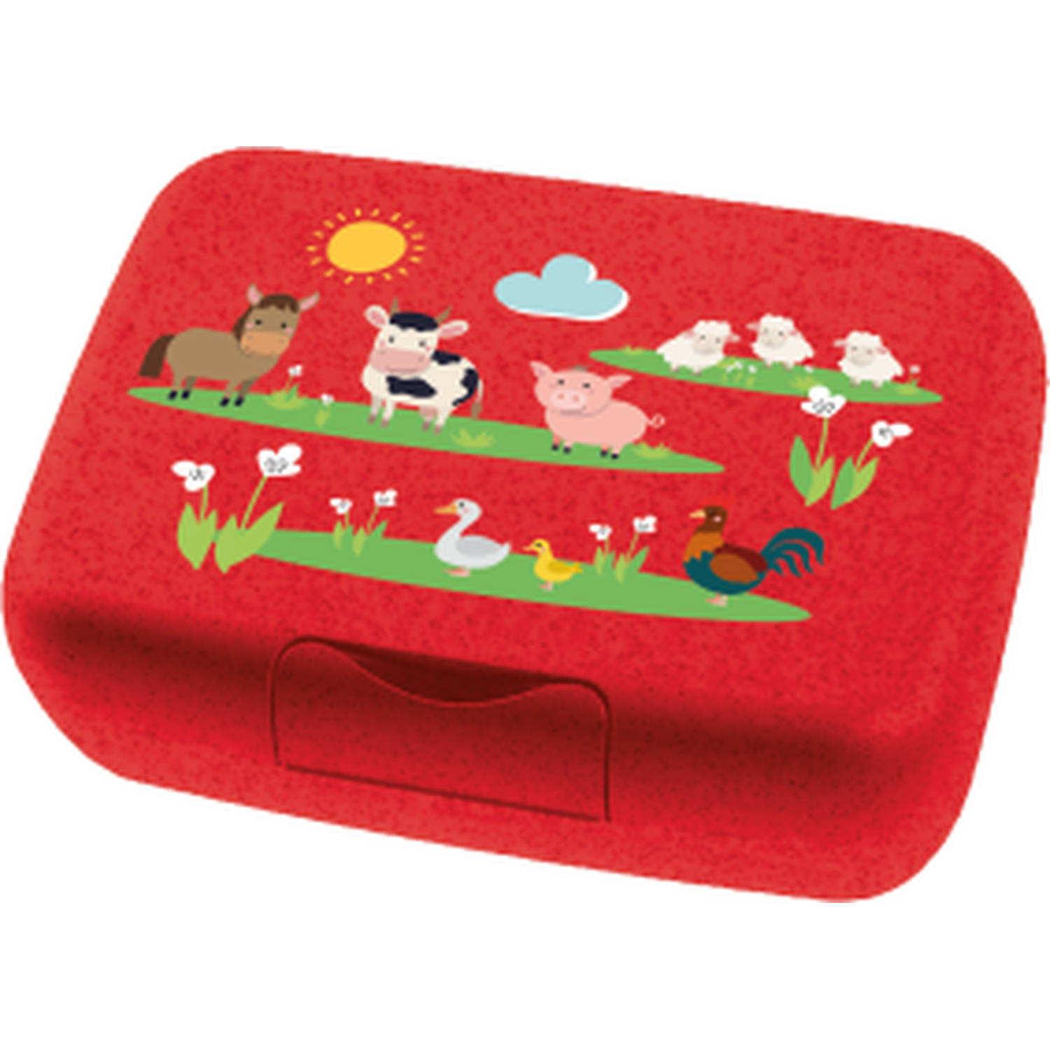 Lunchbox, Groot, Organic, Farm - Koziol | Candy L