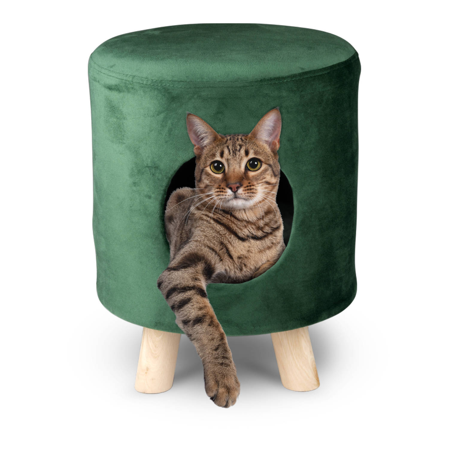 Maxxpro Kattenmand op Pootjes - Poef - 100% Polyester - tot 80kg - Ø 33 cm - Groen