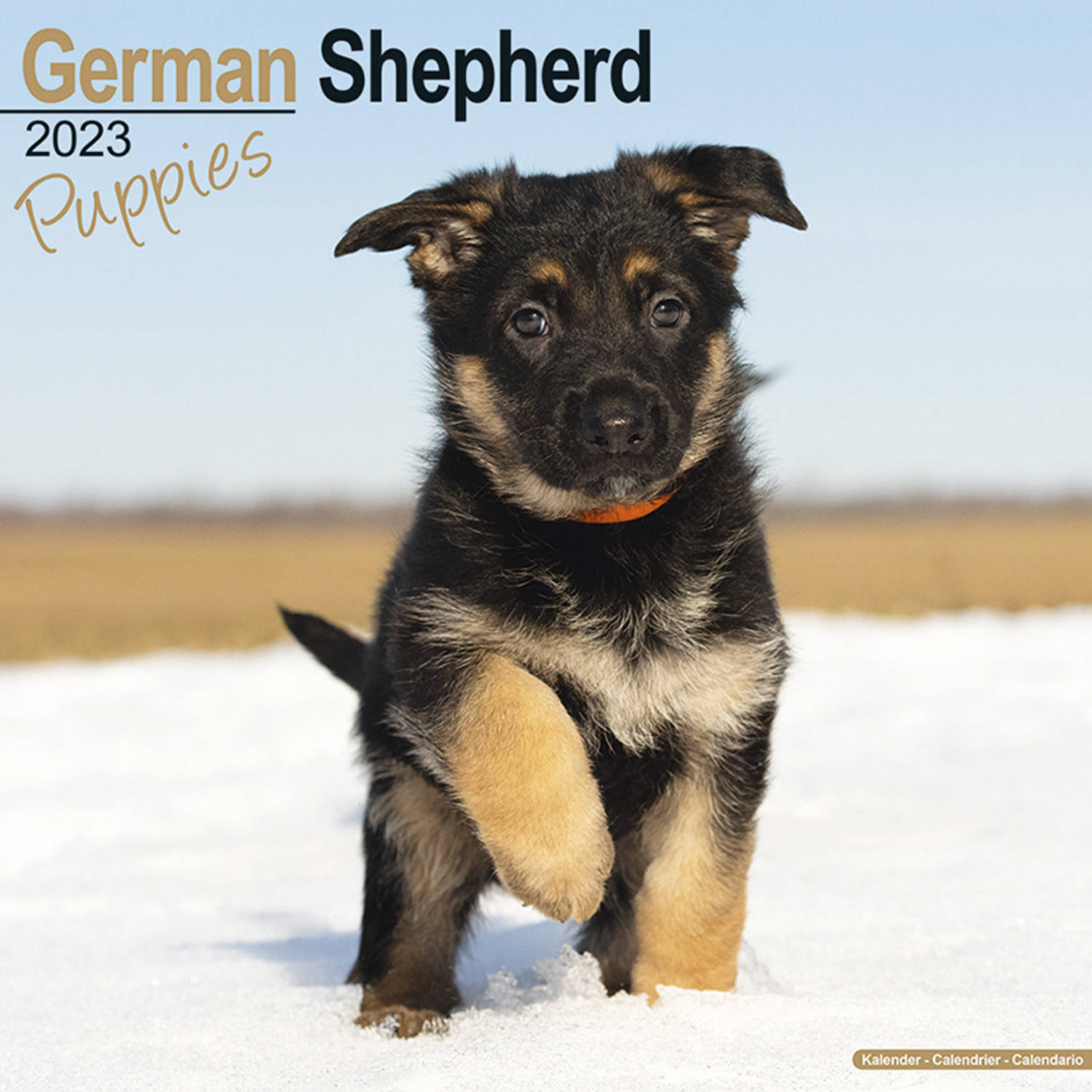 Duitse Herder Kalender Puppies 2023