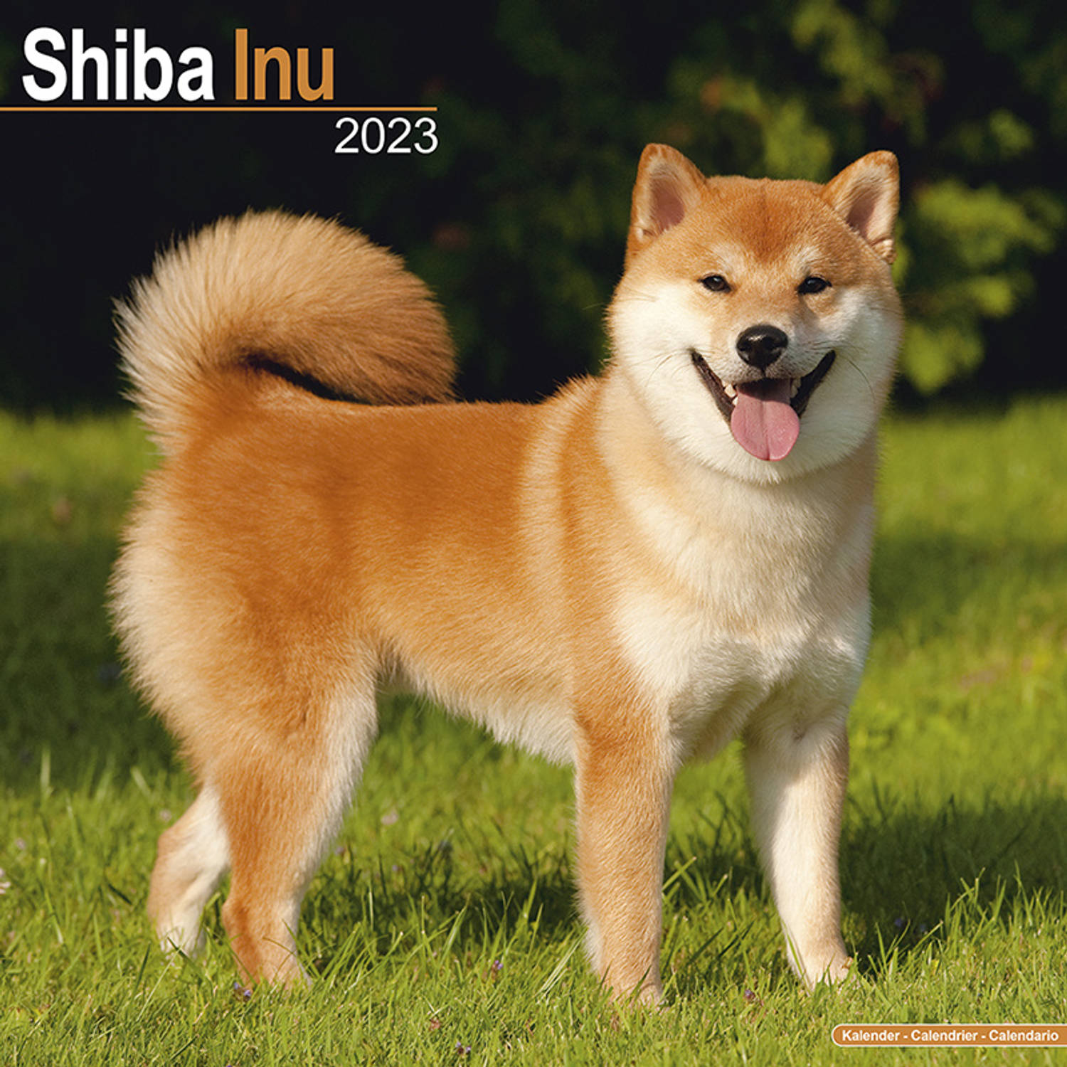 Shiba Inu Kalender 2023