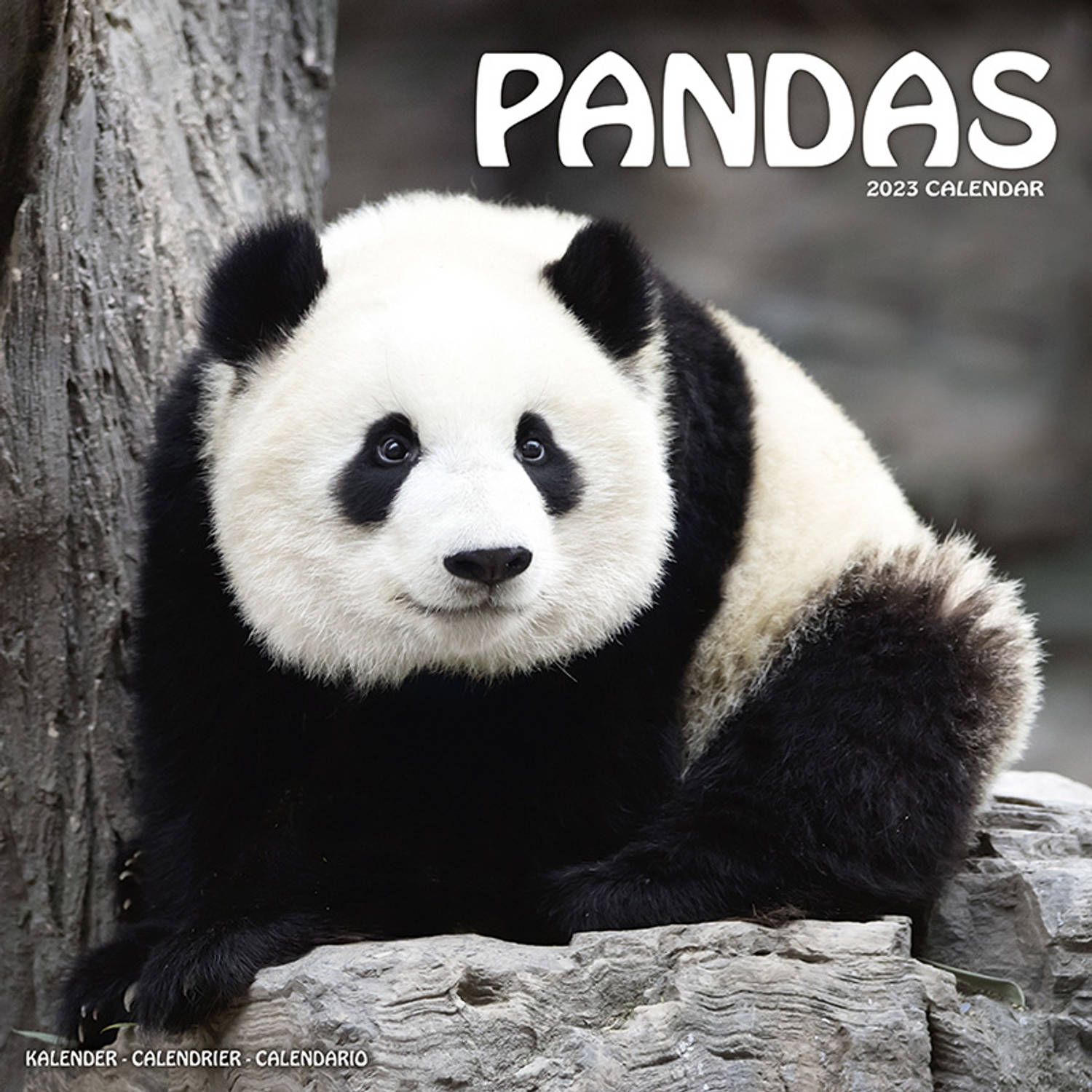 Panda Kalender 2023