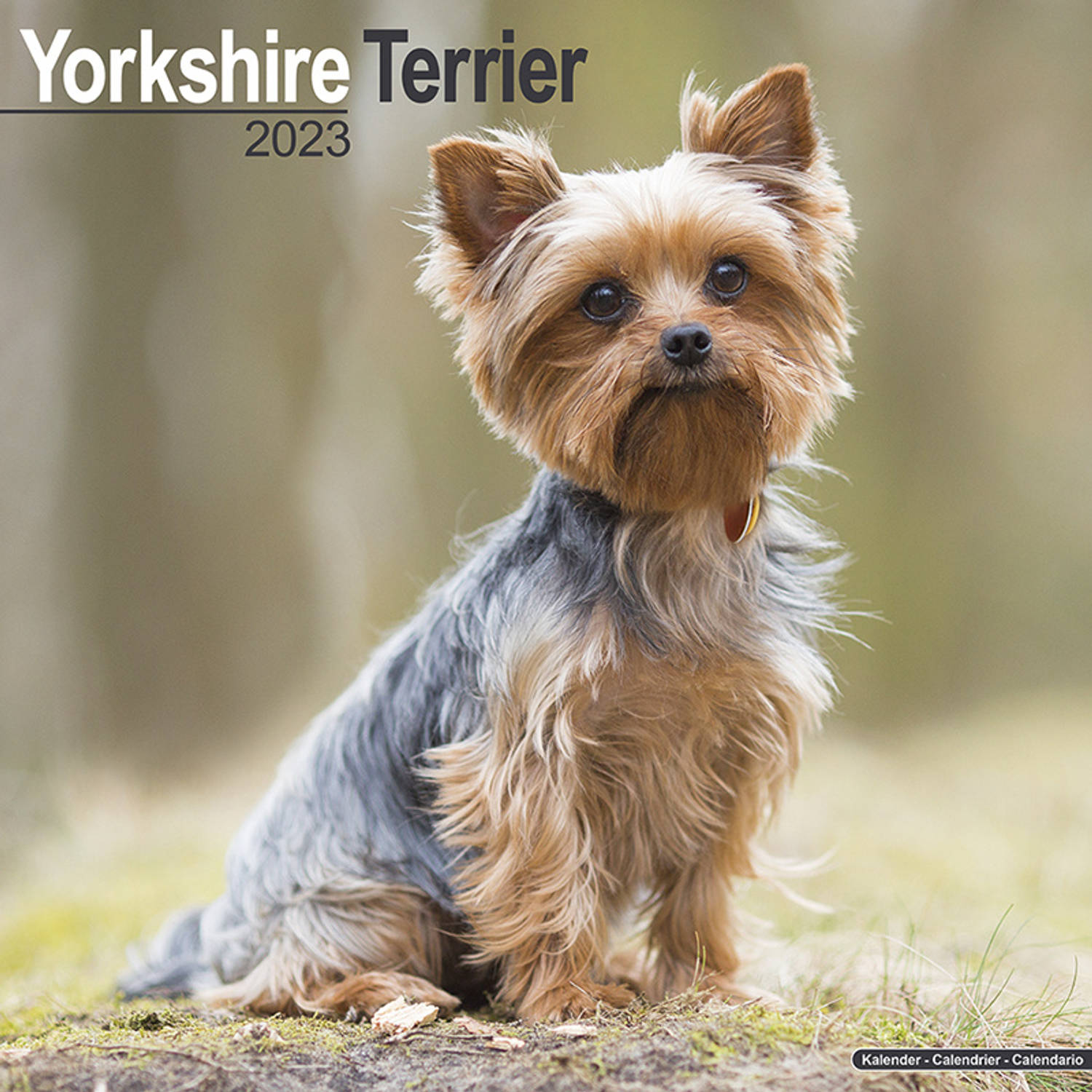 Yorkshire Terrier Kalender 2023