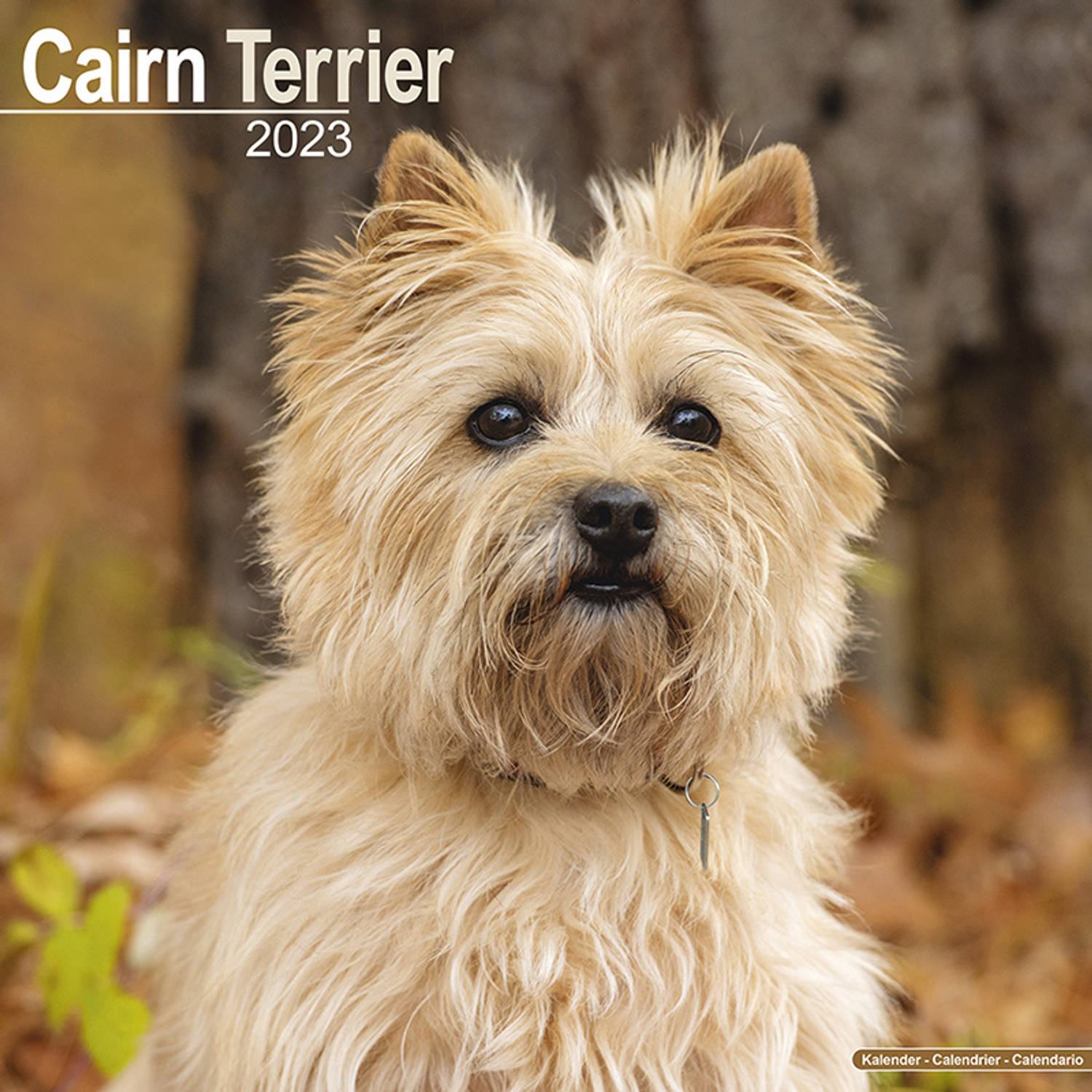 Cairn Terrier Kalender 2023
