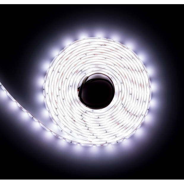 Proventa LED strip 10 meter - Dimbaar met afstandsbediening - Voor binnen & buiten