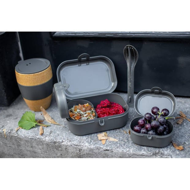 Koziol Bio-Circulair - Pascal Mini Lunchbox Set van 3 Stuks - Gerecycled Zonnebloemolie - Grijs