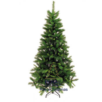Royal Christmas Kunstkerstboom Dover 180 cm