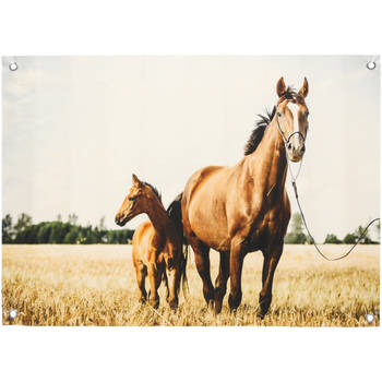 Blokker buitenschilderij 50x70cm - Paard met veulen