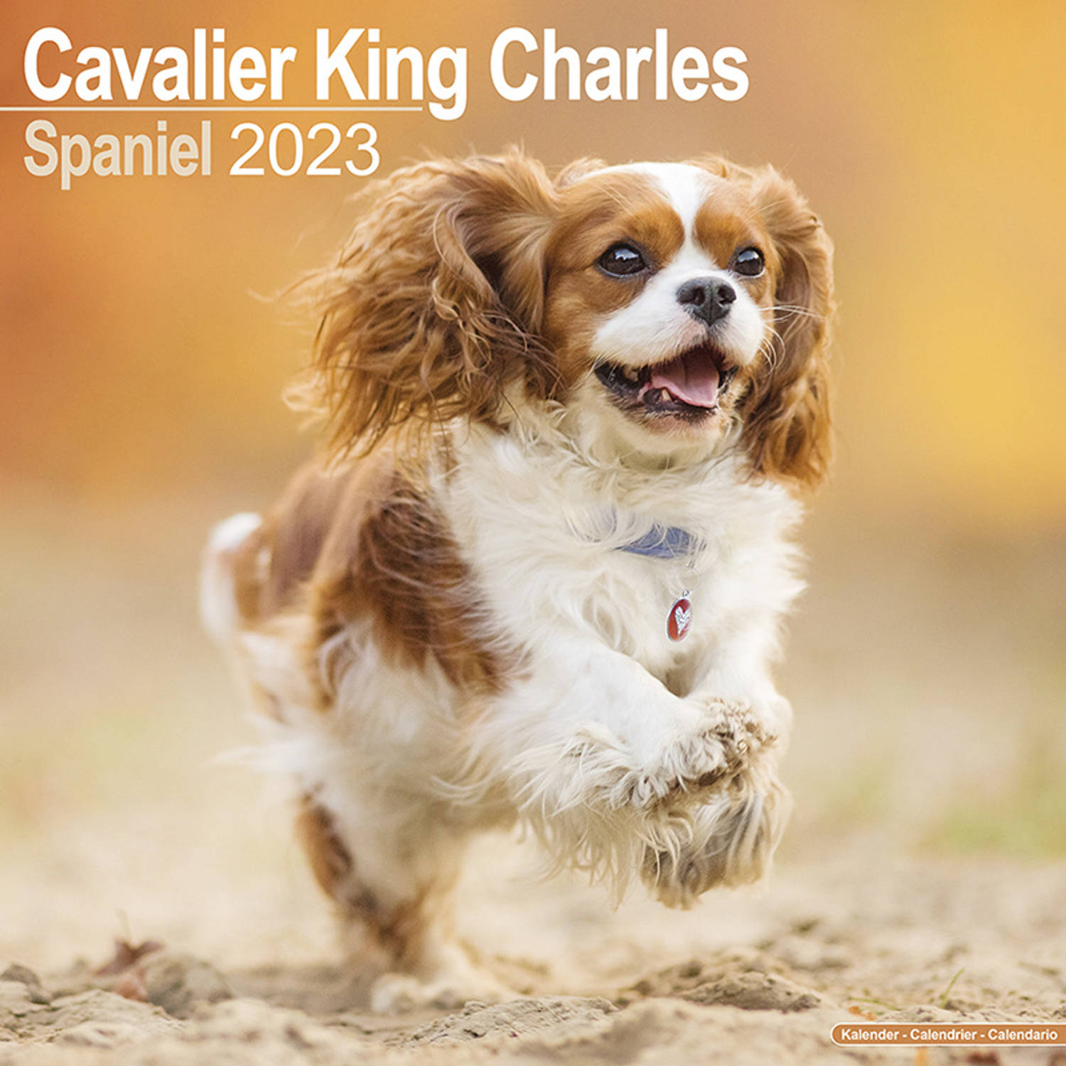 Cavalier King Charles Spaniel Kalender 2023
