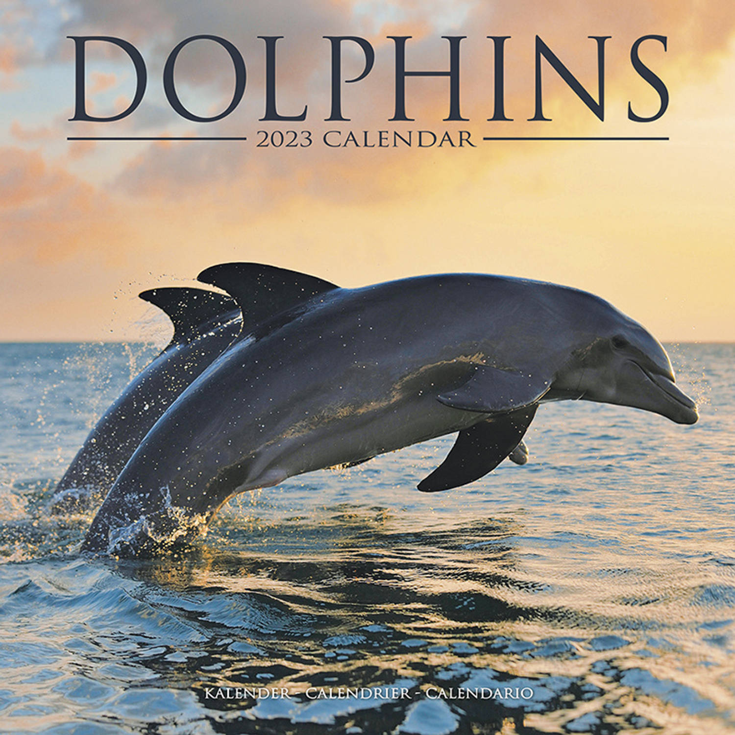 Dolfijnen Kalender 2023