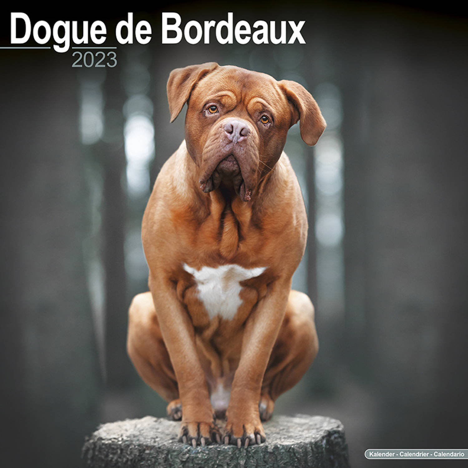 Bordeaux Dog Kalender 2023