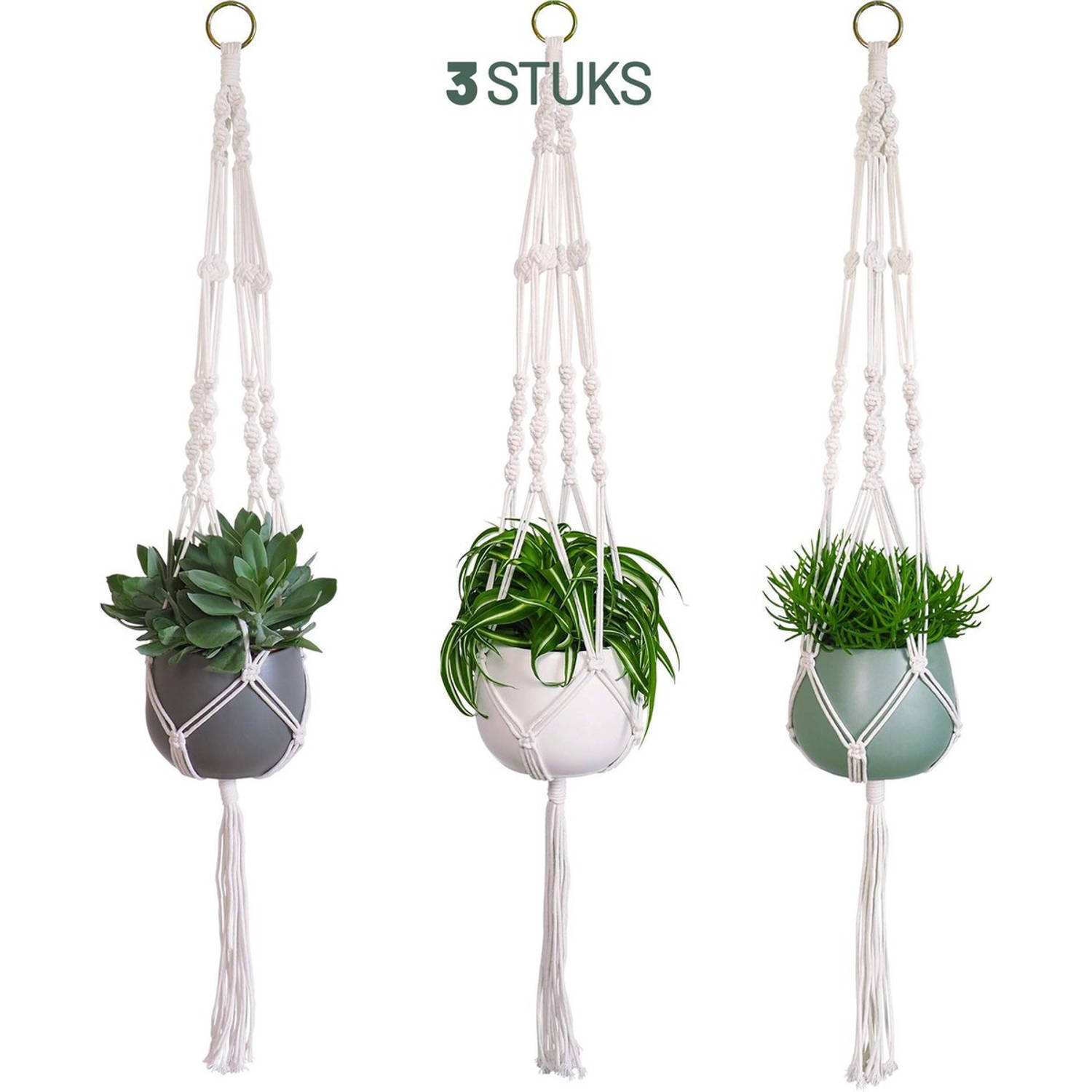 Gadgy Plantenhanger Macramé 3 stuks - Luxe gevlochten touw katoen - ophangen - Hangpot | Blokker