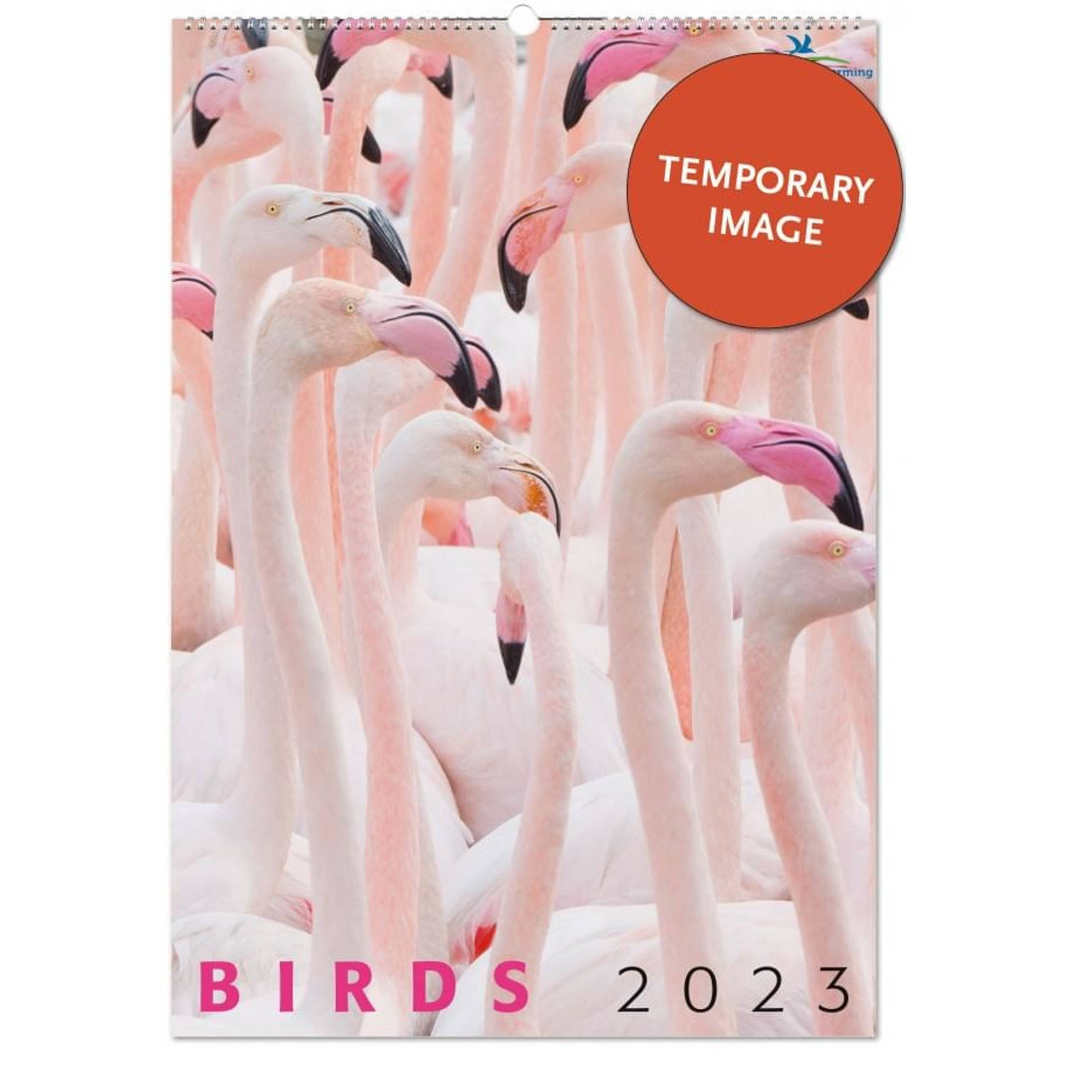 Bekking & Blitz - Vogelbescherming Birds Posterkalender 2023 - Kunstkalender - Fotokalender - Wandkalender - Rijk geïllustreerd