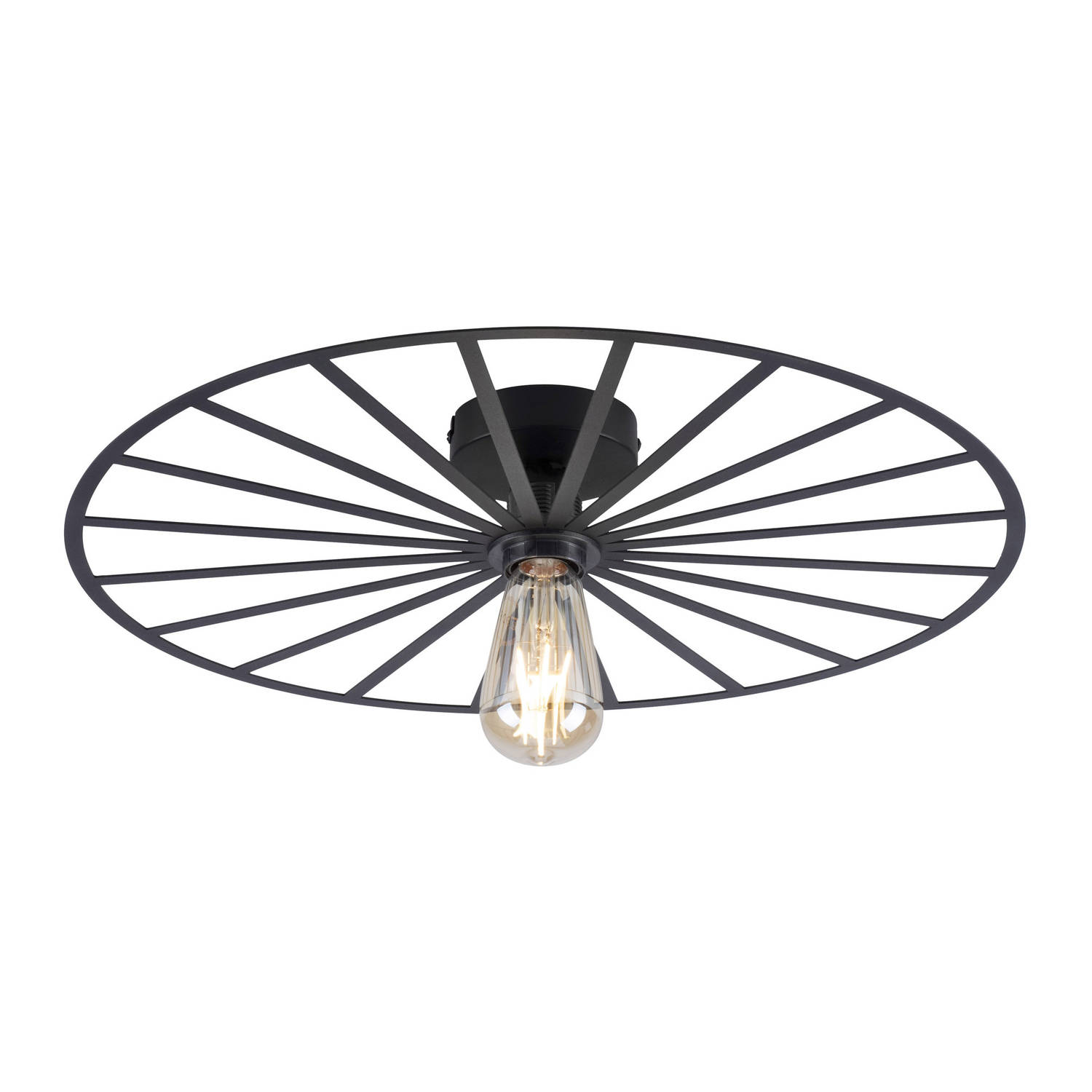 Paul Neuhaus Plafondlamp Isabella Ø 50 cm zwart