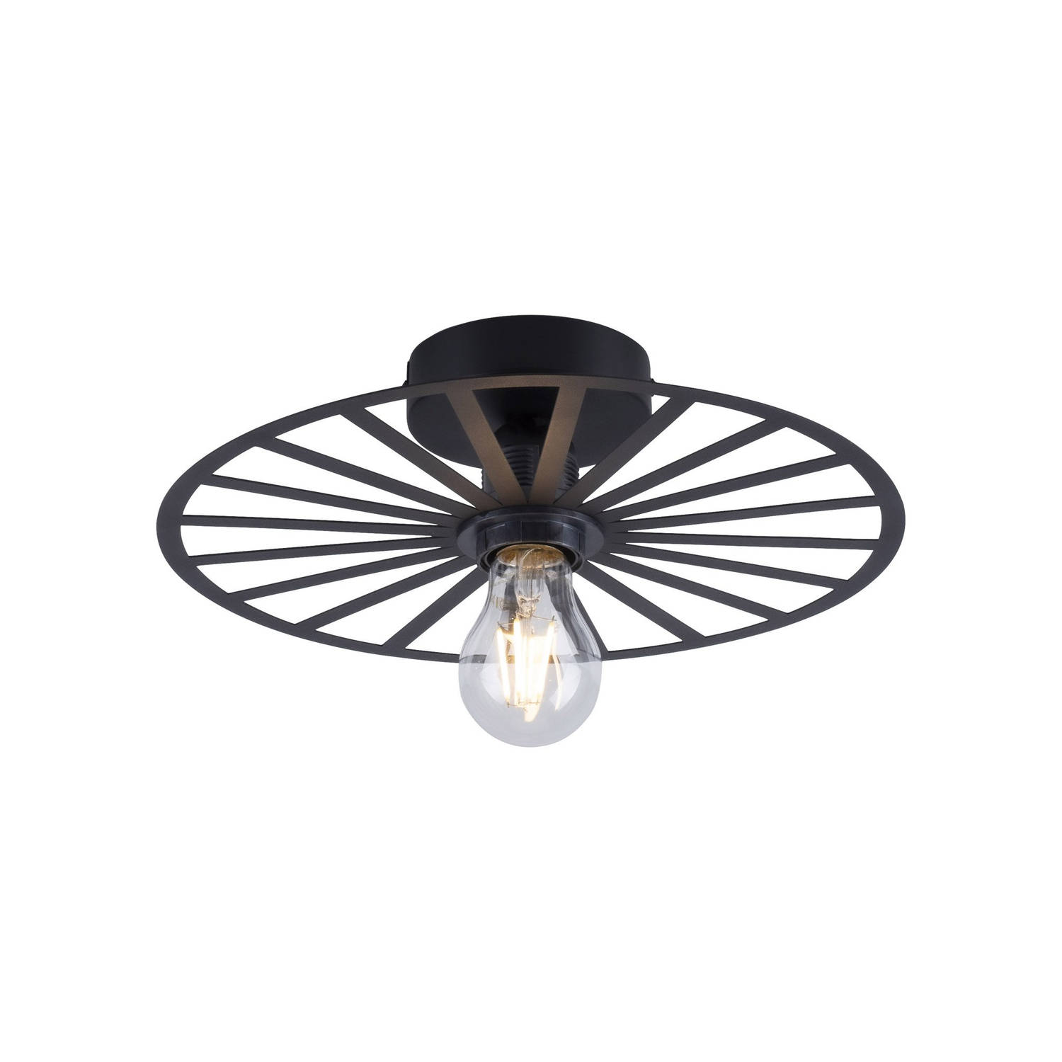 Paul Neuhaus Plafondlamp Isabella Ø 30 cm zwart