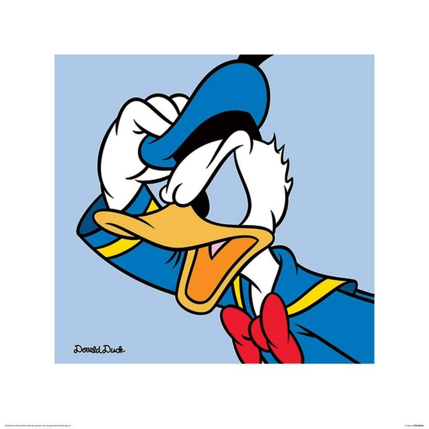 Kunstdruk Donald Duck Blue 40x40cm