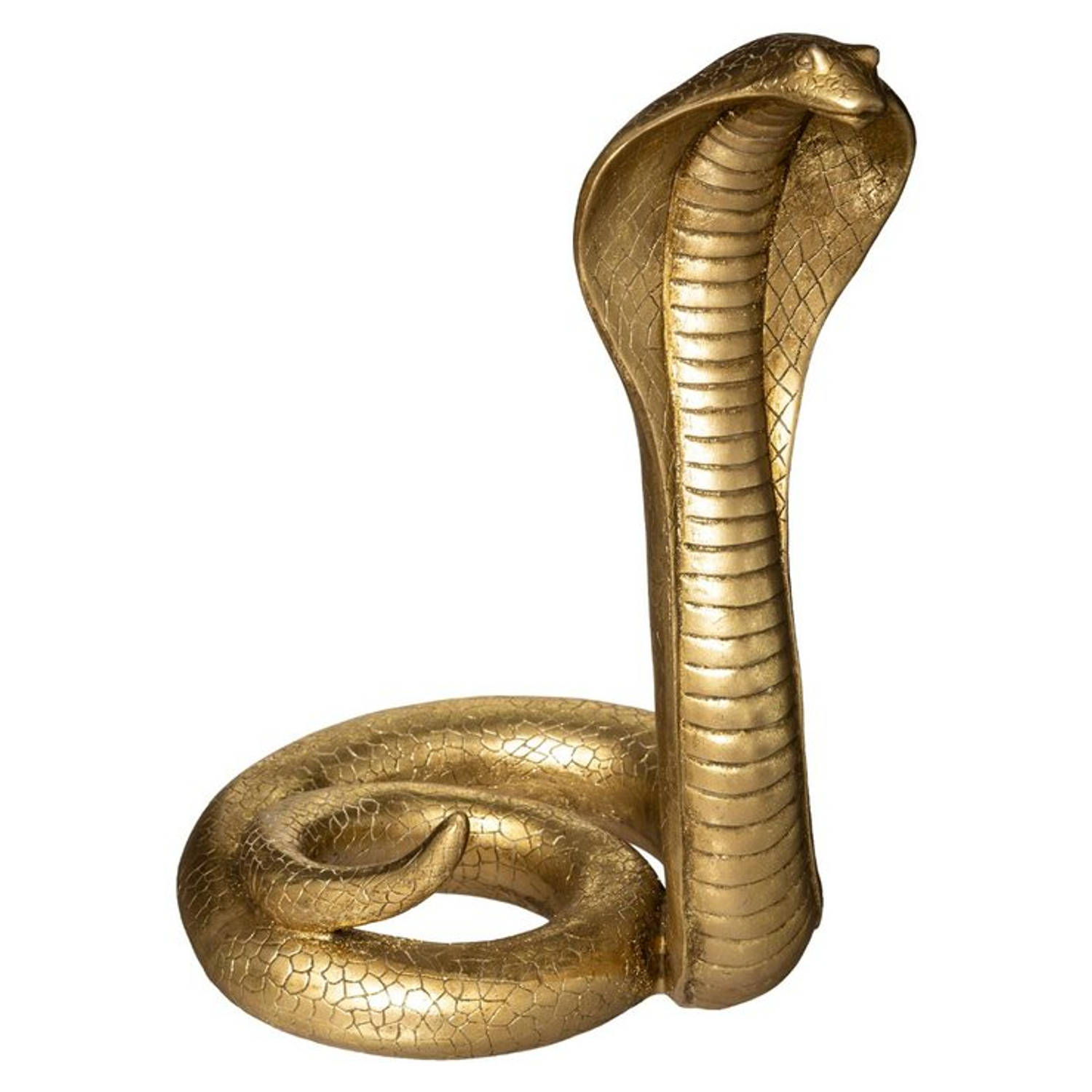 Decoratief object Cobra – Polyresin – XL – H36cm