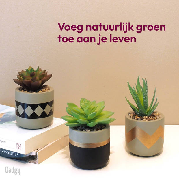 Gadgy Kunstplanten voor Binnen 3 stuks - Kunst Vetplantjes in Stenen Pot - Nepplant Klein - Vetplant Mini - 13 tot 16 cm