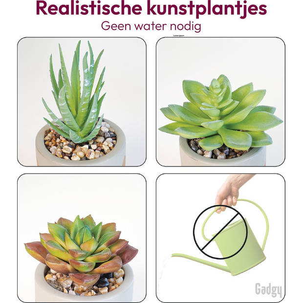 Gadgy Kunstplanten voor Binnen 3 stuks - Kunst Vetplantjes in Stenen Pot - Nepplant Klein - Vetplant Mini - 13 tot 16 cm