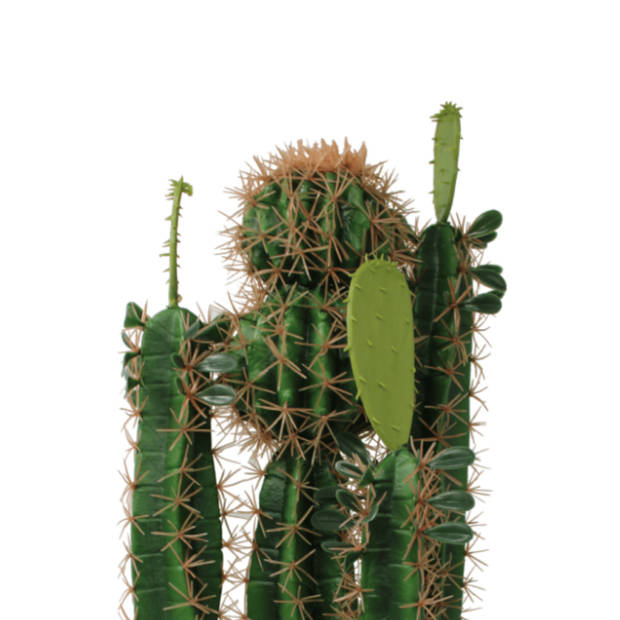 Kunst Cactus 70cm