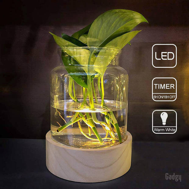 Gadgy Vaas met LED Verlichting XL - Vaaslamp - Glazen Vaas Lamp - Hydroponie - Werkt op Batt. – Tafellamp - Ø 15.5 cm