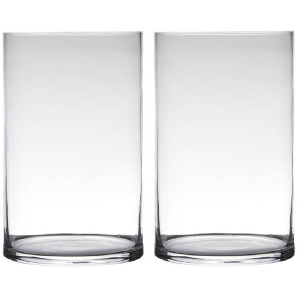 Set van 2x stuks transparante home-basics cylinder vorm vaas/vazen van glas 40 x 19 cm - Vazen