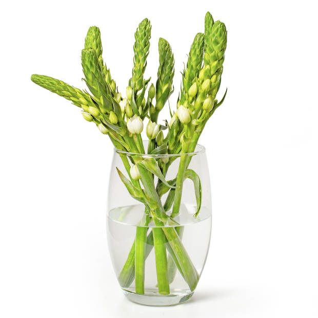 Kleine bloemenvaas/bloemenvazen 14 x 20 cm transparant glas - Vazen
