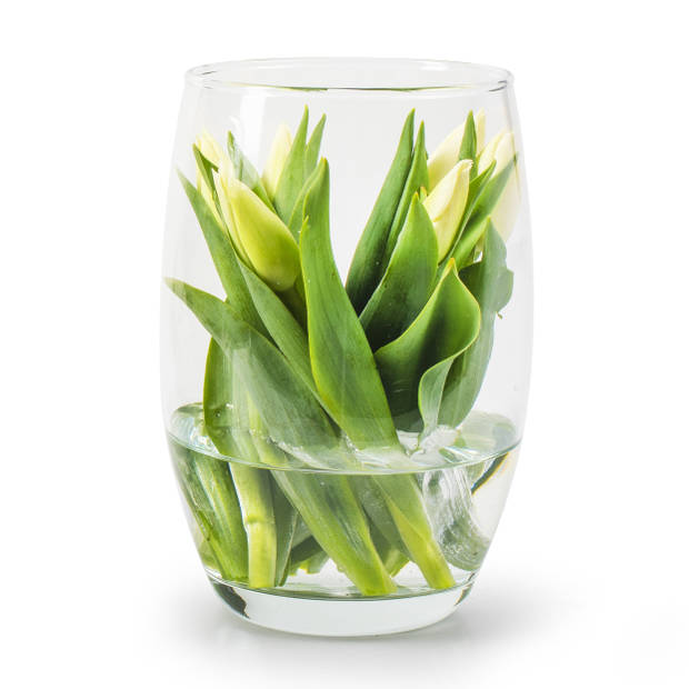 Kleine bloemenvaas/bloemenvazen 14 x 20 cm transparant glas - Vazen