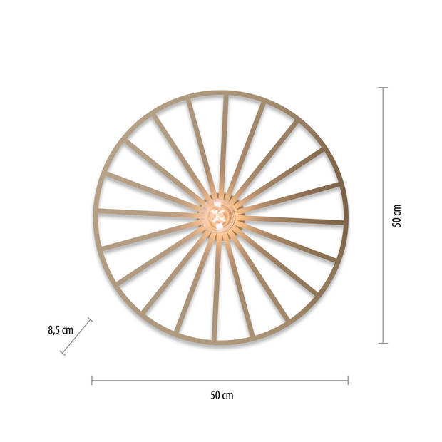 Paul Neuhaus Plafondlamp Isabella Ø 50 cm mat-goud