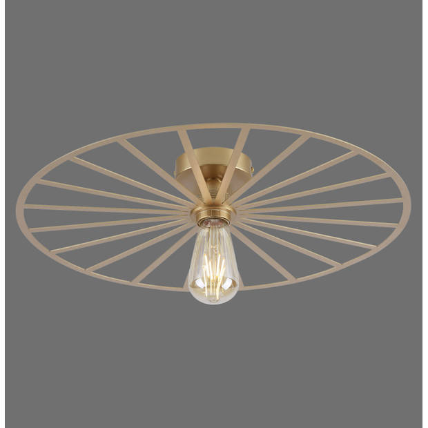 Paul Neuhaus Plafondlamp Isabella Ø 50 cm mat-goud