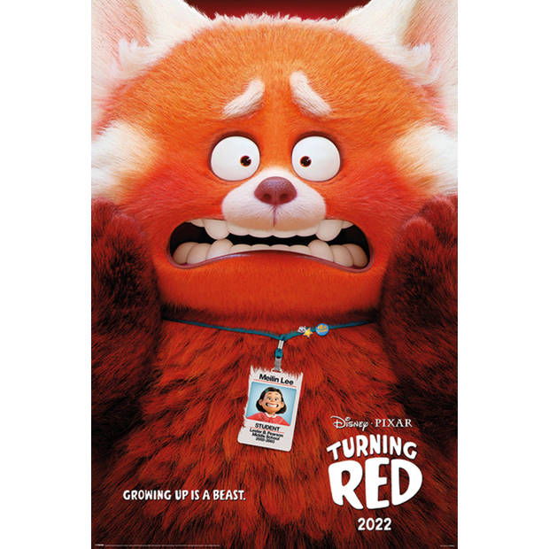 Poster Turning Red Growing Up Is A Beast 61x91,5cm