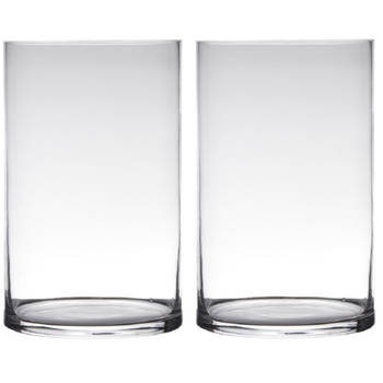 Set van 2x stuks transparante home-basics cylinder vorm vaas/vazen van glas 40 x 19 cm - Vazen