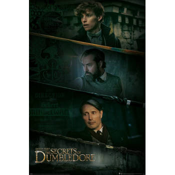 Pyramid Fantastic Beasts The Secrets of Dumbledore Three Wands Poster 61x91,5cm