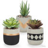 Gadgy Kunstplanten voor Binnen 3 stuks - Kunst Vetplantjes in Stenen Pot - Nepplant Klein - Vetplant Mini - 13 tot 16 cm