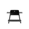 Everdure - Furnace Gas Barbecue 30 mBar - Roestvast Staal - Zwart