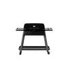 Everdure - Furnace Gas Barbecue 30 mBar - Roestvast Staal - Zwart