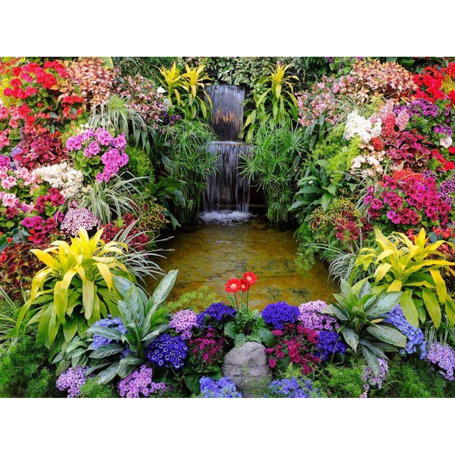 Tuinposter Watervalletje met bloem 80x60cm Teun Tuinposters