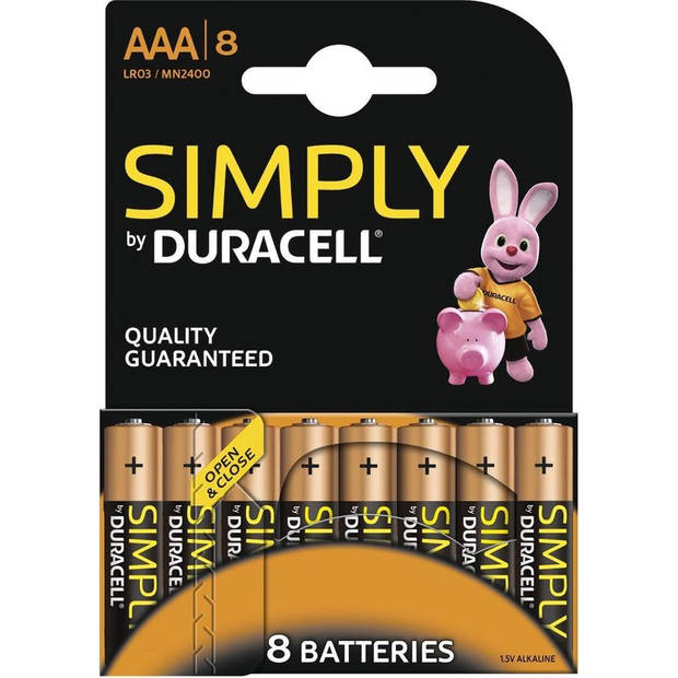 Duracell AAA Batterijen