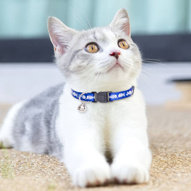 Nobleza Kattenhalsband met Belletje - Veiligheidssluiting - Halsband Kat - Halsband Kitten - Set van 4