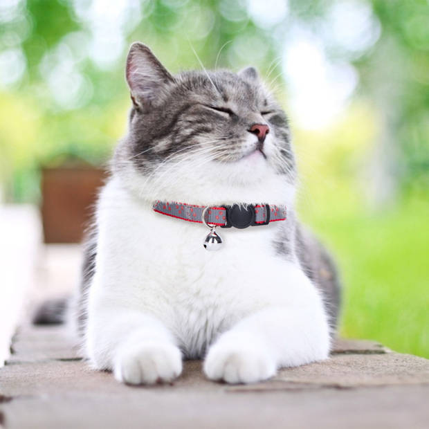 Nobleza Kattenhalsband met Belletje - Reflecterend - Veiligheidssluiting - Halsband Kat - Halsband Kitten - Set van 4