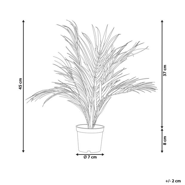 Beliani ARECA PALM - Kunstplant-Groen-Synthetisch materiaal