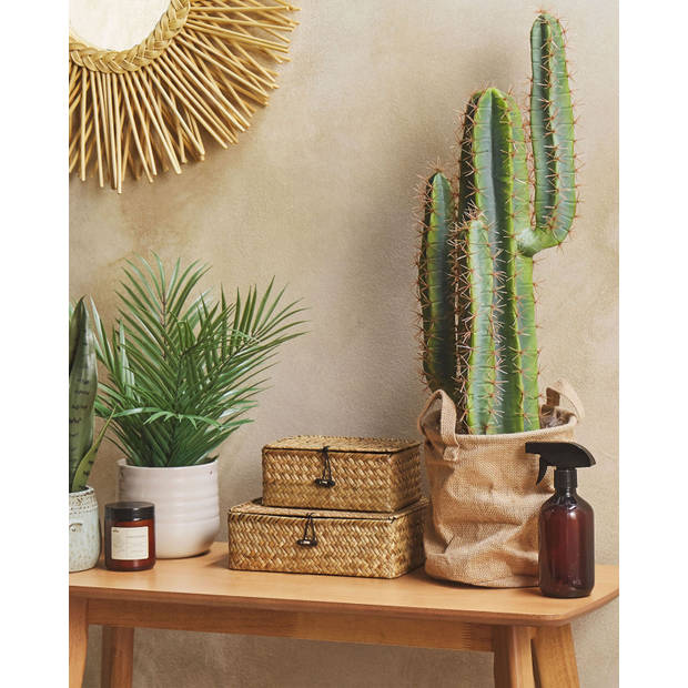 Beliani CACTUS - Kunstplant-Groen-Synthetisch materiaal