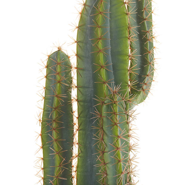 Beliani CACTUS - Kunstplant-Groen-Synthetisch materiaal