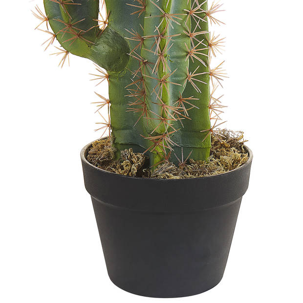 Beliani CACTUS - Kunstplant-Groen-Synthetisch materiaal