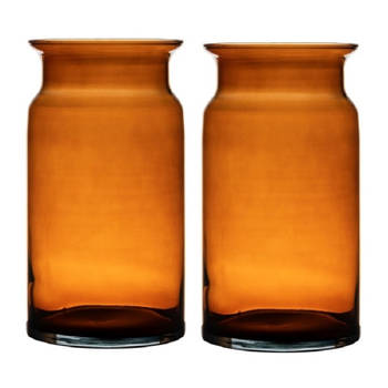 Set van 2x stuks oranje/transparante melkbus vaas/vazen van glas 29 cm - Vazen