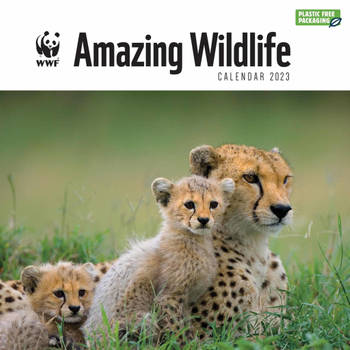 WWF Amazing Wildlife Kalender 2023