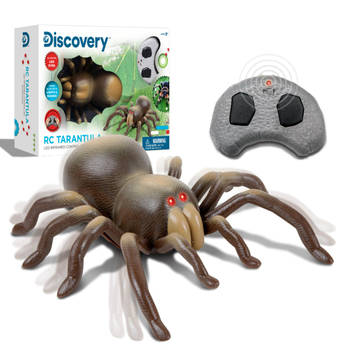 Discovery RC Tarantula spin met lichtgevende ogen en geluid